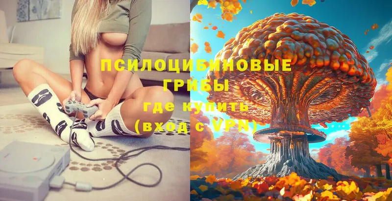 купить наркотик  Тверь  Псилоцибиновые грибы MAGIC MUSHROOMS 